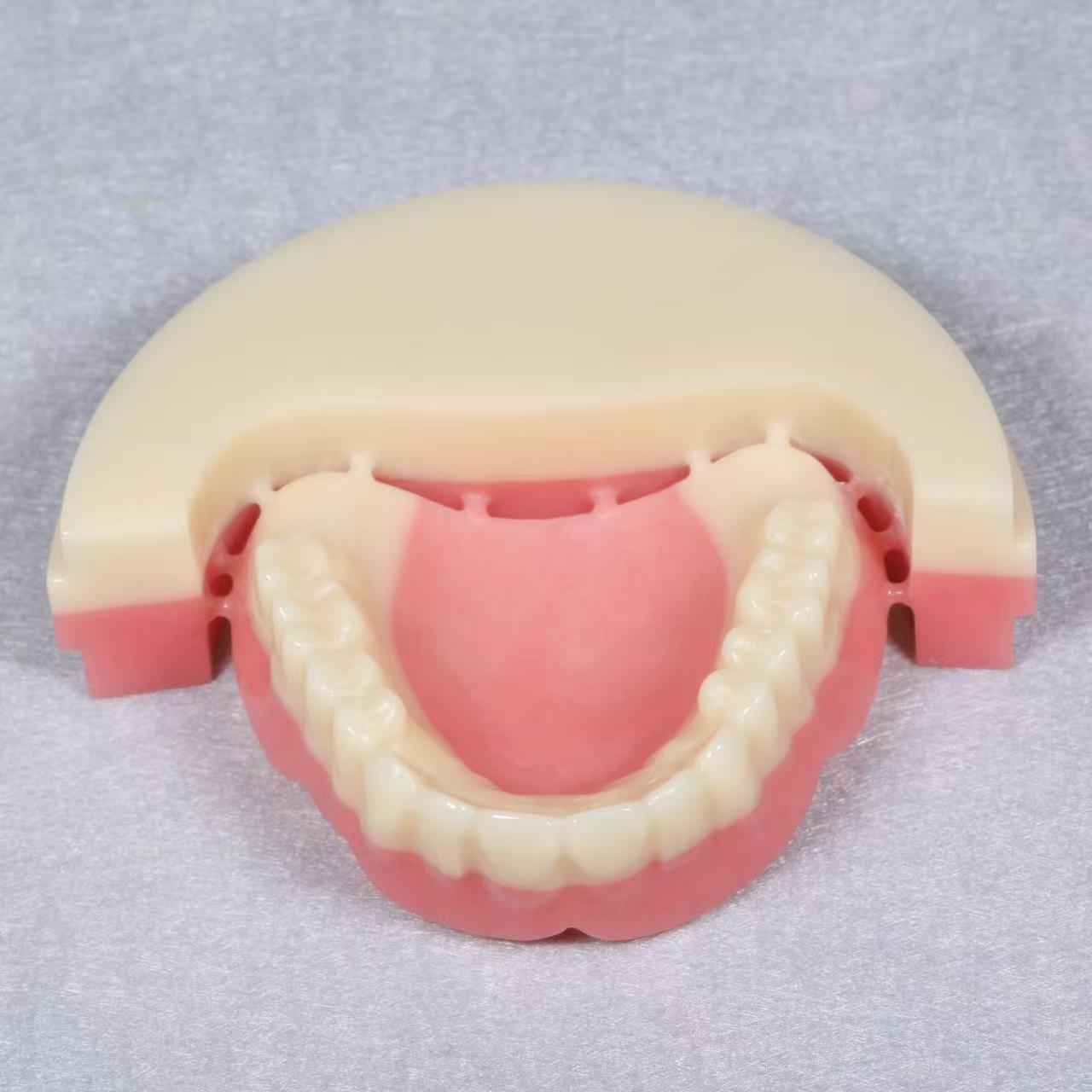 Double-layer PMMA for Removable Dentures 98MM Cadcam Dental Material Pmma Disc