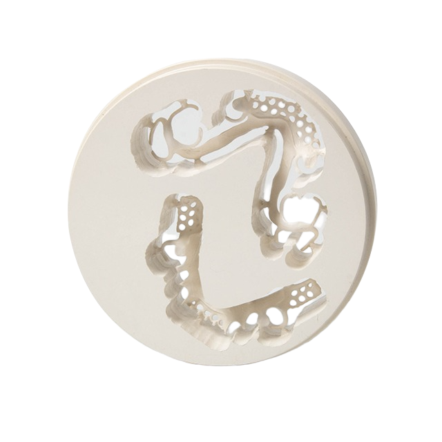 PEEK Discs for dental Bracket