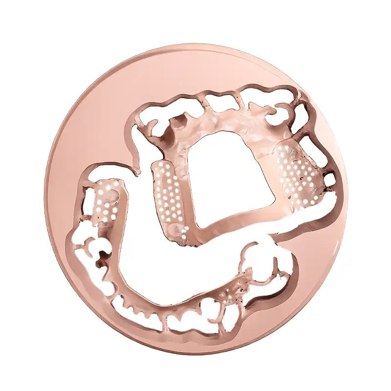 PEEK Discs for dental Bracket