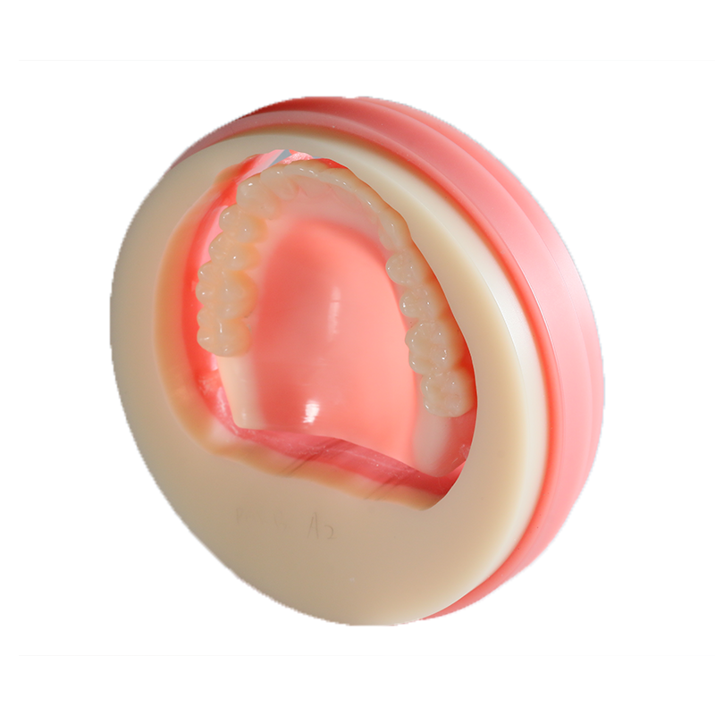 Double-layer PMMA for Removable Dentures 98MM Cadcam Dental Material Pmma Disc