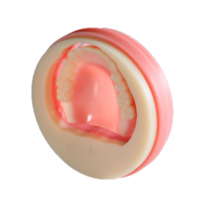 Double-layer PMMA for Removable Dentures 98MM Cadcam Dental Material Pmma Disc